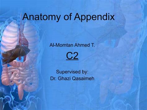 Image result for Appendix Labeled