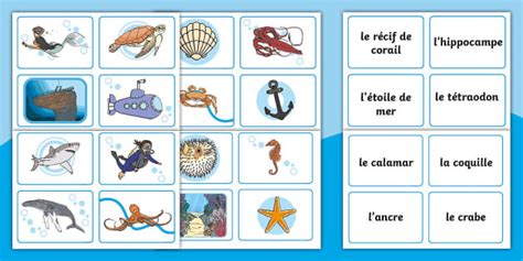 Cartes pour jeu de paires pour la maternelle : sous la mer