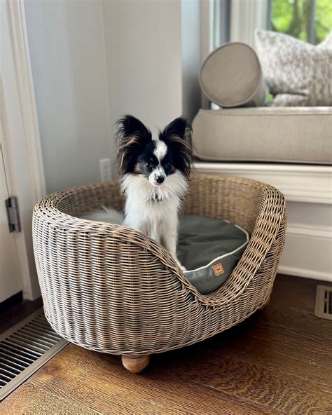 Luxury Rattan Dog Beds | Neely's Nest