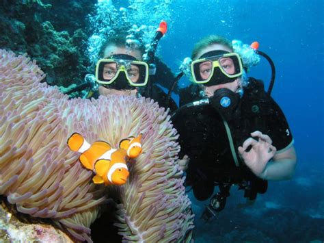 Marsa Mubarak Snorkeling & 1 Diving Adventure & Lunch - Marsa Alam ...