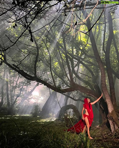 Saadet Işıl Aksoy Wiki, Biography, Age, Gallery, Spouse and more