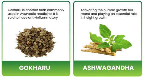 Divyashree Height Detox | Natural Height Growth Supplement – Kayashree ...