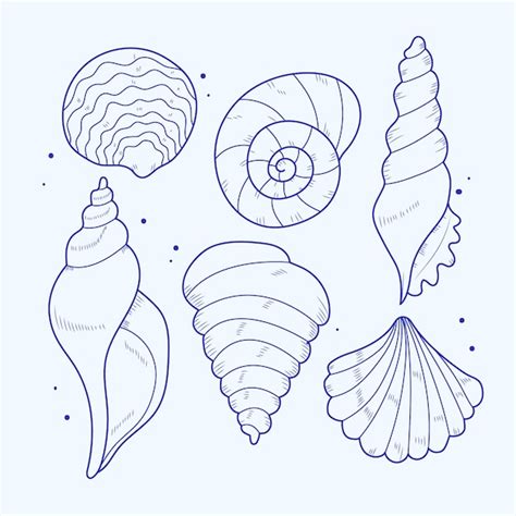 Image result for Shell Line Art