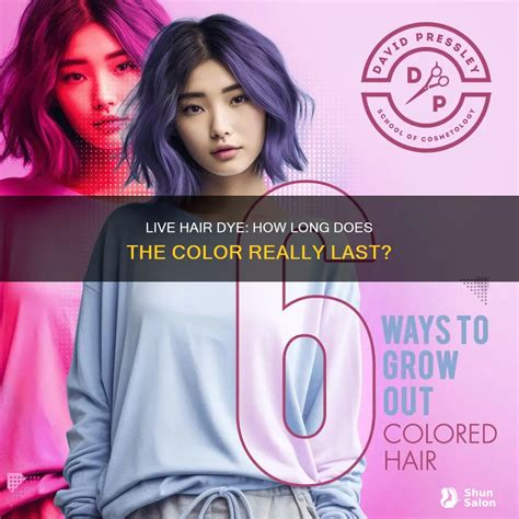 Live Hair Dye: How Long Does The Color Really Last? | ShunSalon
