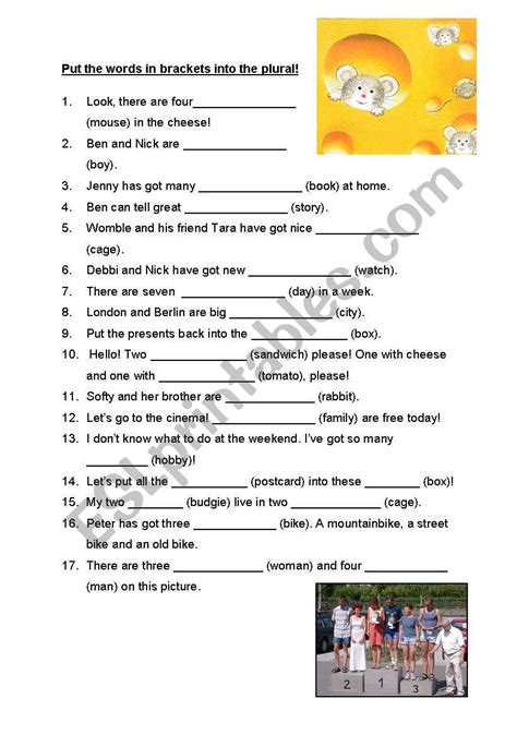 the plural - exercises - ESL worksheet by ski-fan