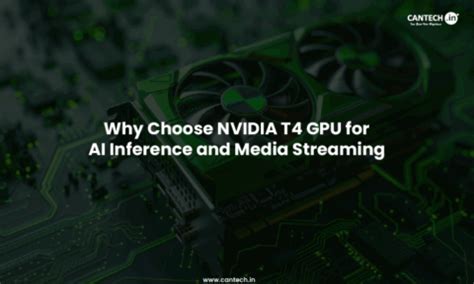 Why Choose NVIDIA T4 GPU for AI Inference and Media Streaming