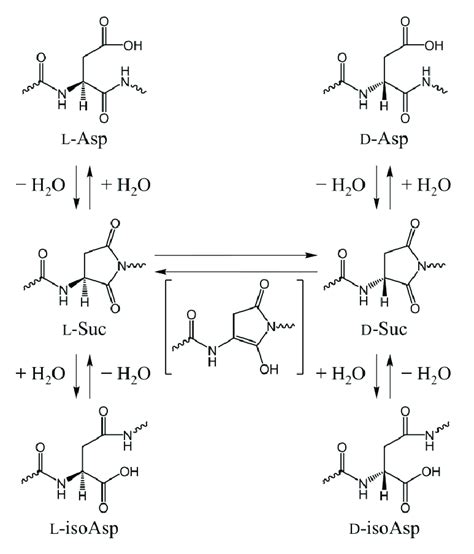 Image result for Random Science Computer Image