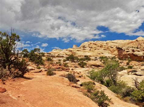 Hickman Bridge Trail: Fun Capitol Reef Hike You Don't Want to Miss