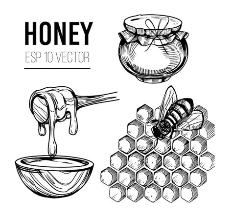 Miel dessin - Vecteurs : téléchargez gratuitement des vecteurs de haute ...