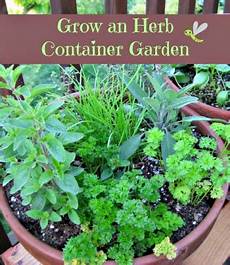 Herb Container Garden by How To Grow An Herb Container Garden Need To Herb Container Garden