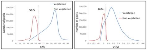 Unmanned Aerial Vehicle (UAV) Imagery for Plant Communities: Optimizing ...