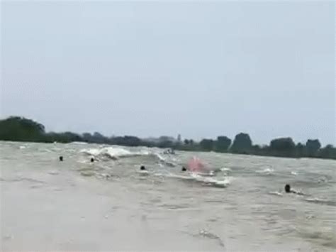 Surwal Dam Boat Capsizes in Sawai Madhopur, Nine Swept Away, Three ...