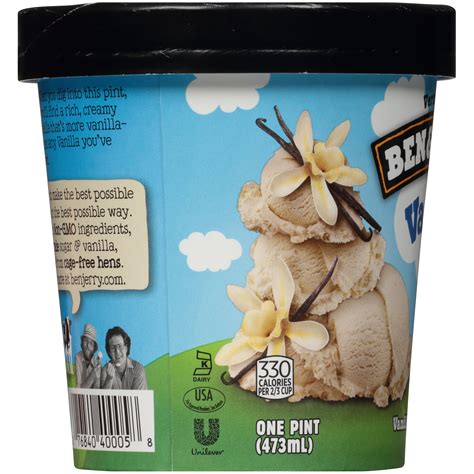 Ben & Jerry's Vanilla Ice Cream 16 oz | Shipt