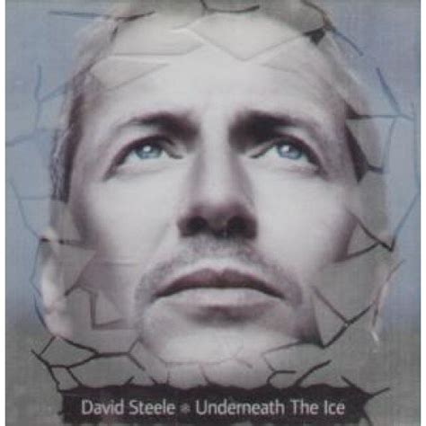 Underneath the Ice: David Steele: Amazon.in: Music}