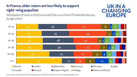 Age, education and anti-system politics: the French presidential ...