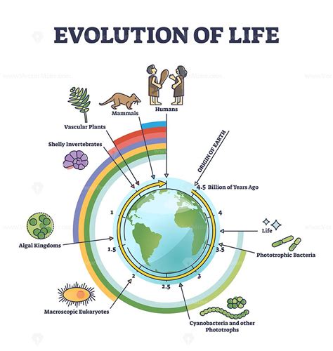 Life Evolution Chart 的图像结果