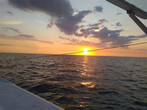 DADE CITY ANIMAL CLINIC - Dade City FL - Hours, Directions, Reviews ...