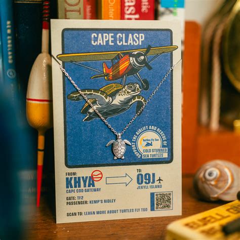 How often do hammerhead sharks attack people? – Cape Clasp