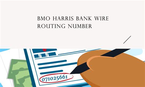 Image result for Routing Algorithms in Computer Network