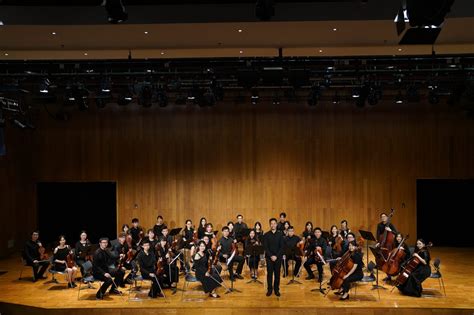 String Orchestra 的图像结果