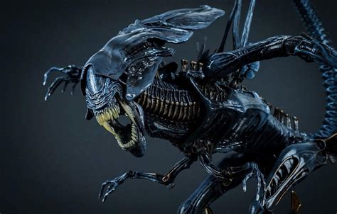 Alien Xenomorph King 的图像结果