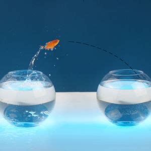 Image result for SAP Control Key PP04