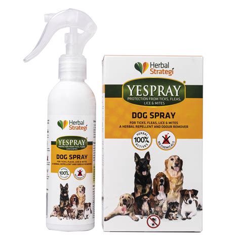 Buy Natural Tick and Fleas Spray for Dog Online In India - Herbal Strategi