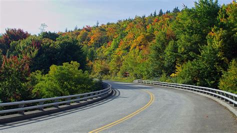 Download wallpaper 1920x1080 road, trees, shadows, turn full hd, hdtv ...