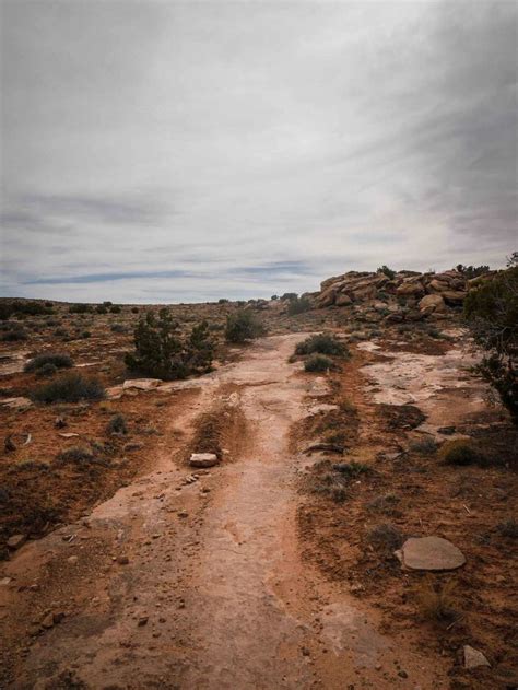 Loop Trail 的图像结果