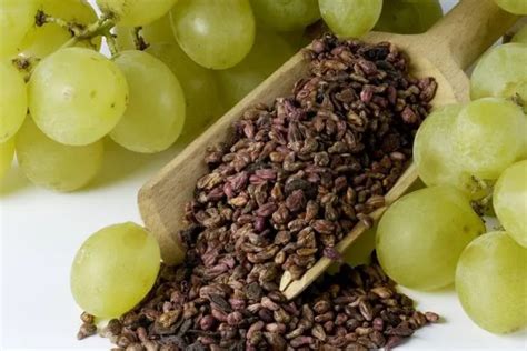 “无籽”的葡萄竟是药打出来的？能放心吃吗？