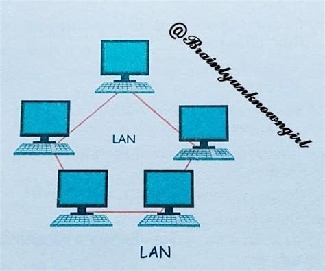 explain the network topologies LAN WAN man - Brainly.in