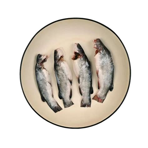 Buy Fresh Fish, Chicken and Mutton Online in Kolkata - Freshtogo.in