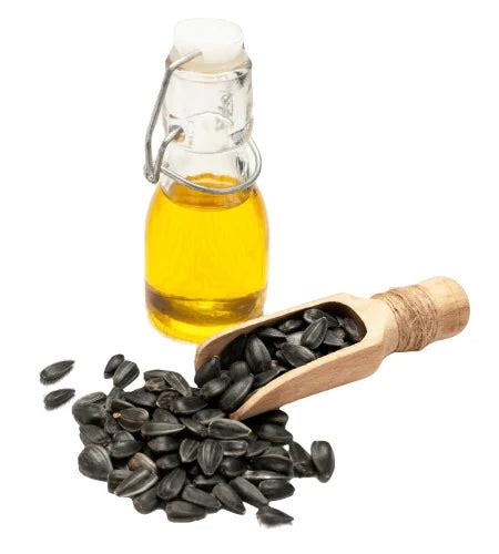 ThriveCo Heat Protector Hair Spray | Heat Protection Up To 480°F