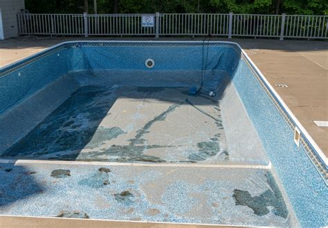 Image result for Pool Plaster Pops