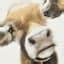 Bessie Cow Canvas Wall Art, 12"