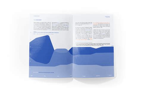 Data Report Design 的图像结果