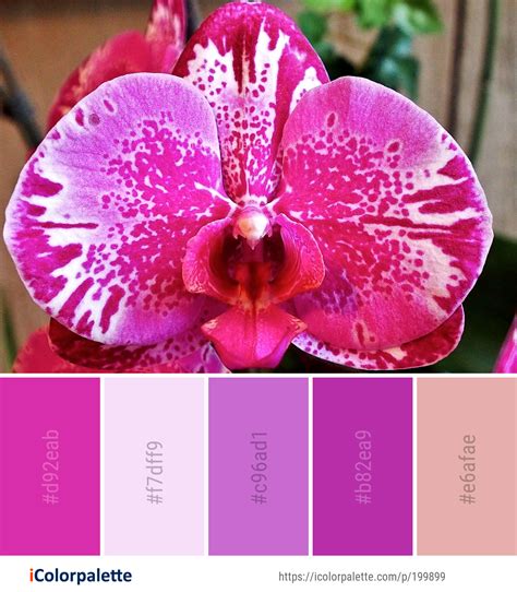 Discover 520 Flower Color Palettes and color palette ideas | color ...