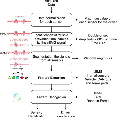 Signal Processing 的图像结果