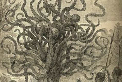 Man-Eating Tree 的图像结果