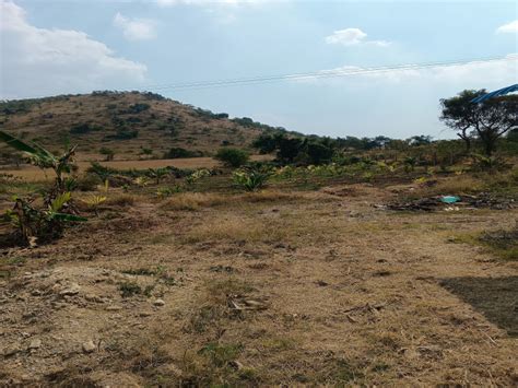 5 Acre Agricultural/Farm Land for Sale in Malavalli, Mandya - by My ...