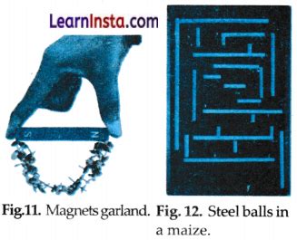 Image result for Class 6 Science Chapter Exploring Magnets