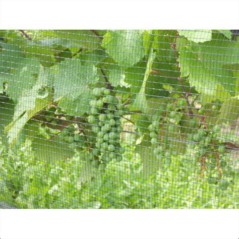 Buy Online Bird Net, Agro Shade Net Manufacturer,Supplier,Exporter,India