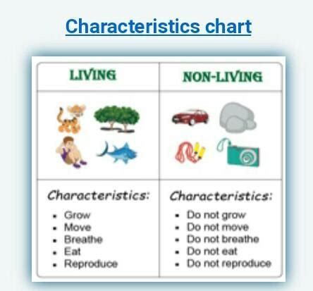 Characteristics of living and non living things - Brainly.in