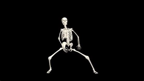 Image result for Skeleton Dance Animation