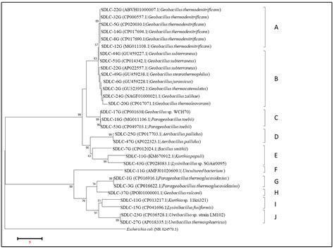 Metagenomics and Culture Dependent Insights into the Distribution of ...