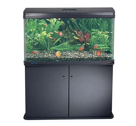 Boyu Fish Aquarium HX-600 (Only Tank) : Amazon.in: Pet Supplies