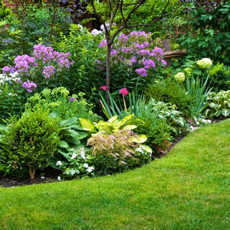 Best Low-Maintenance Bushes For Your Outdoor Landscape
