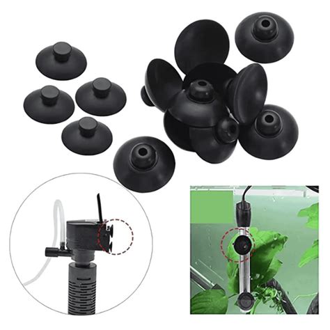 LOBSTERS – cloningaquapets