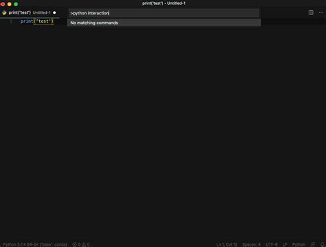 Image result for Vscode Python Interactive Window