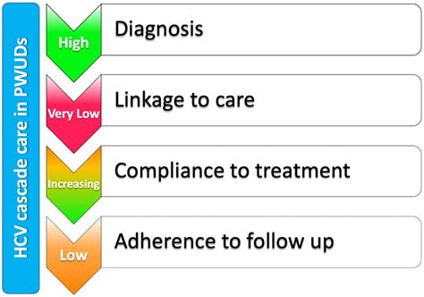 Can Telemedicine Optimize the HCV Care Cascade in People Who Use Drugs ...